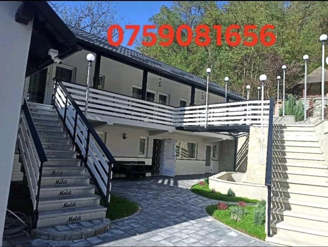 Cazare Moldi Btt Câmpulung Moldovenesc Exterior photo