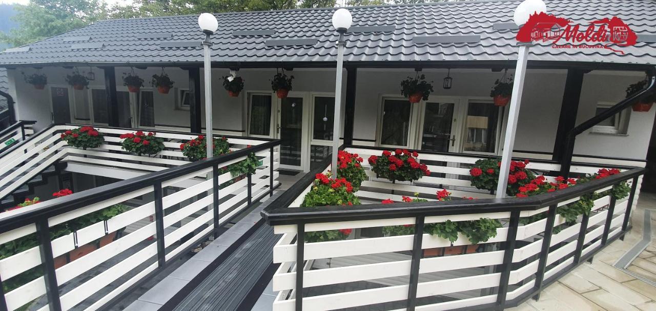 Cazare Moldi Btt Câmpulung Moldovenesc Exterior photo